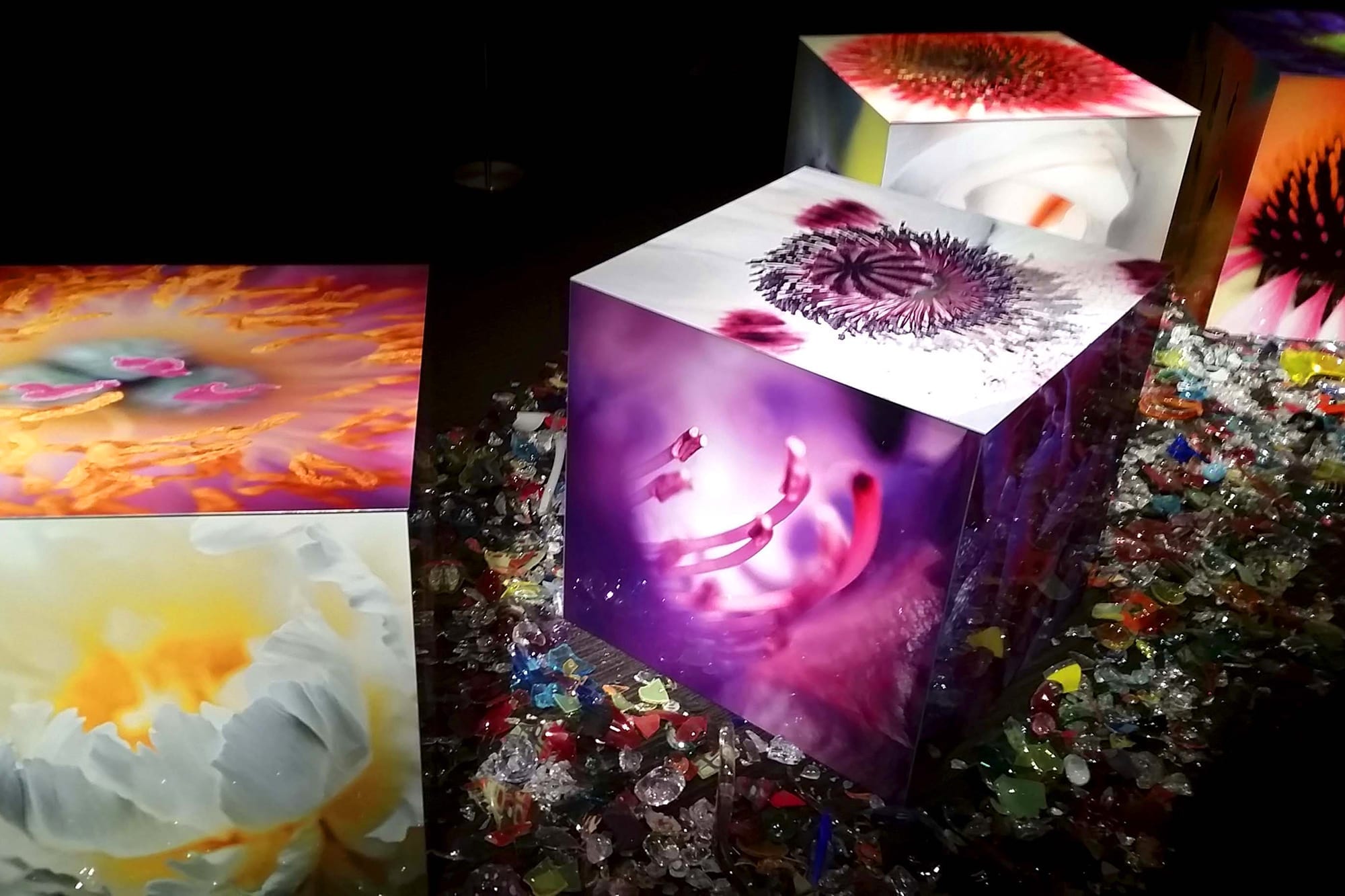 Unique Imaging Concepts